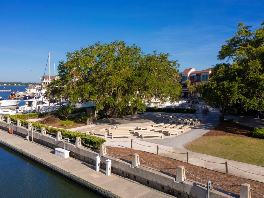 The Liberty Oak in Harbour Town 