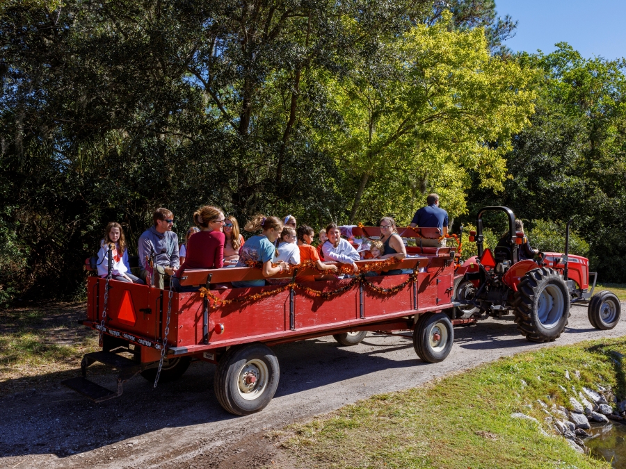 halloween-wagon-ride