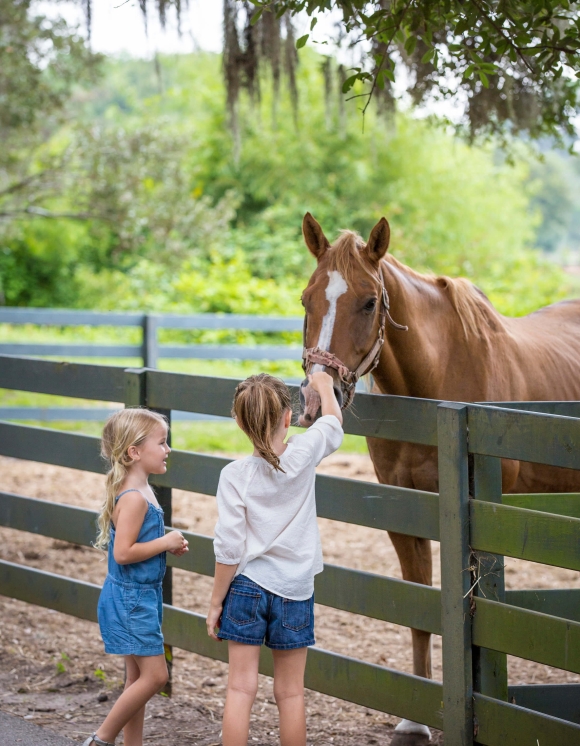 Two little girls petting a horse 