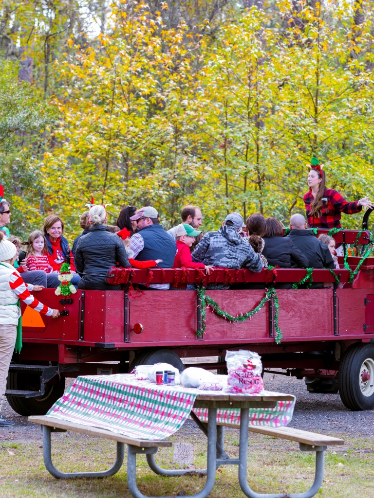 Polar Pines Wagon Ride 