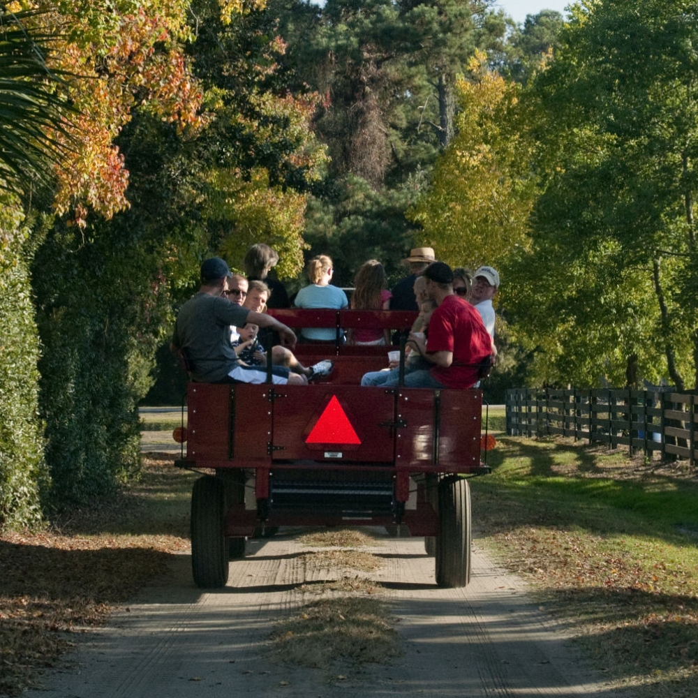 Wagon Ride